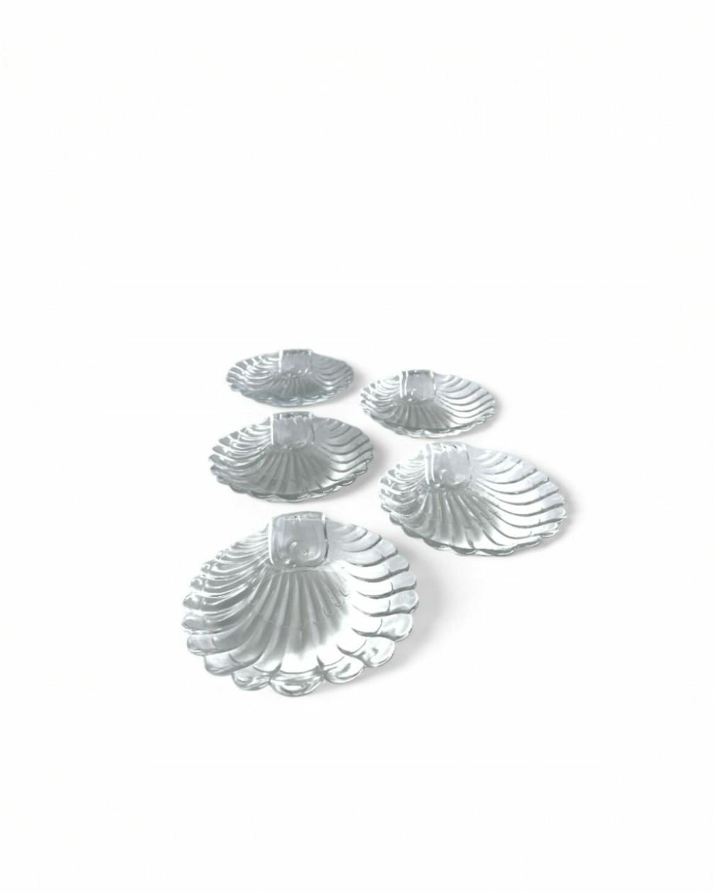 Set of 5 shell-shaped glass saucers